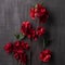 12 Pack: Red Apple Blossom Branch Spray by Ashland®